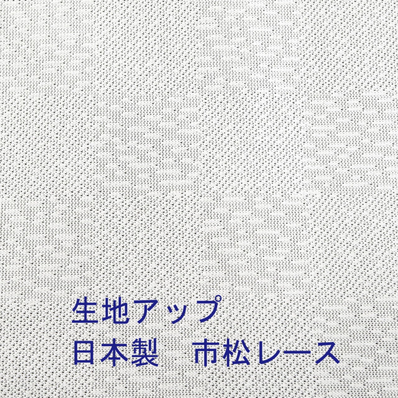 【受注生産】【のれん】伊藤若冲　貝甲図　幅85ｘ丈150cm 91256