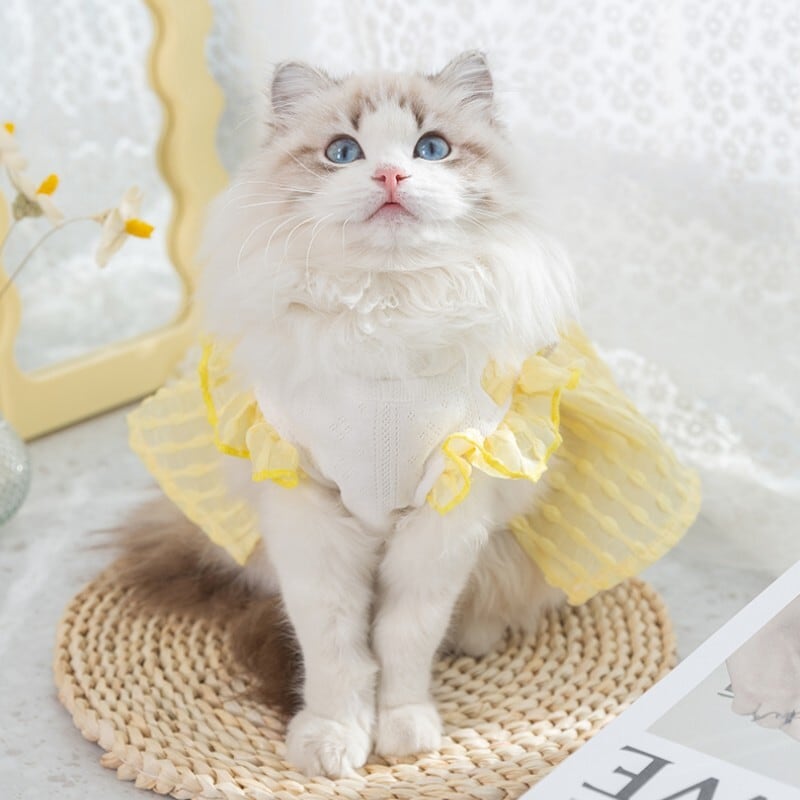 送料無料！犬の服 ネコ服 犬猫用 ペット用品 ペット服 コスチューム