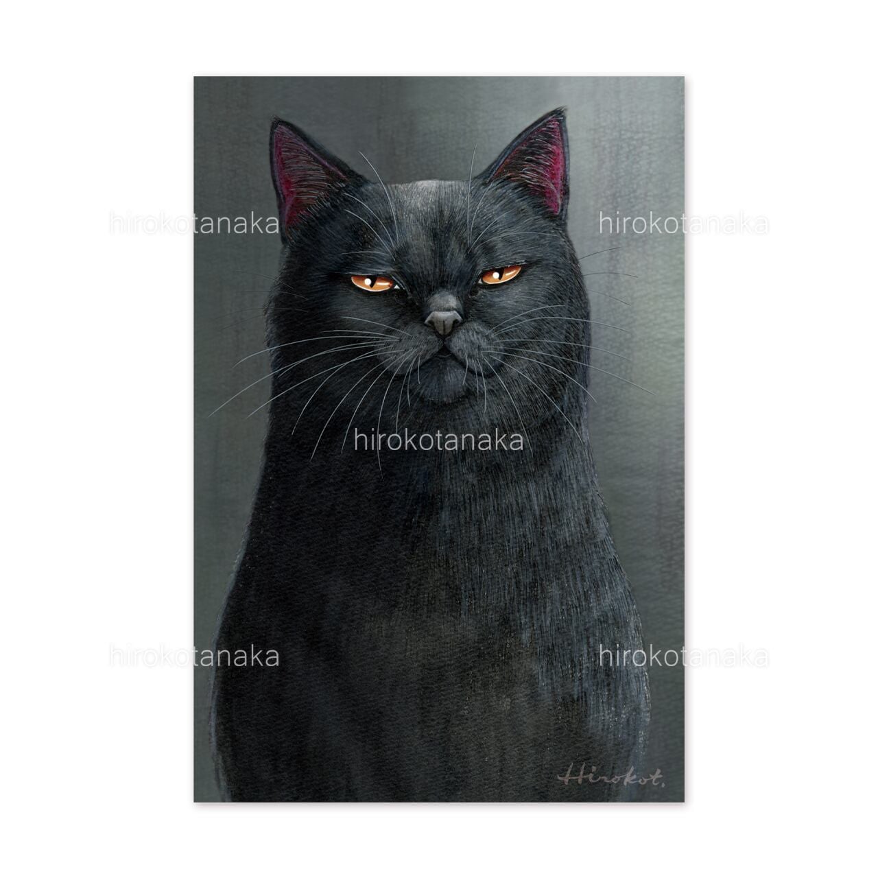 I❤︎黒猫!! ポストカードセット 9枚 / Black Cat Postcard Set of 9 | たなかひろこイラストレーション事務所 powered by BASE