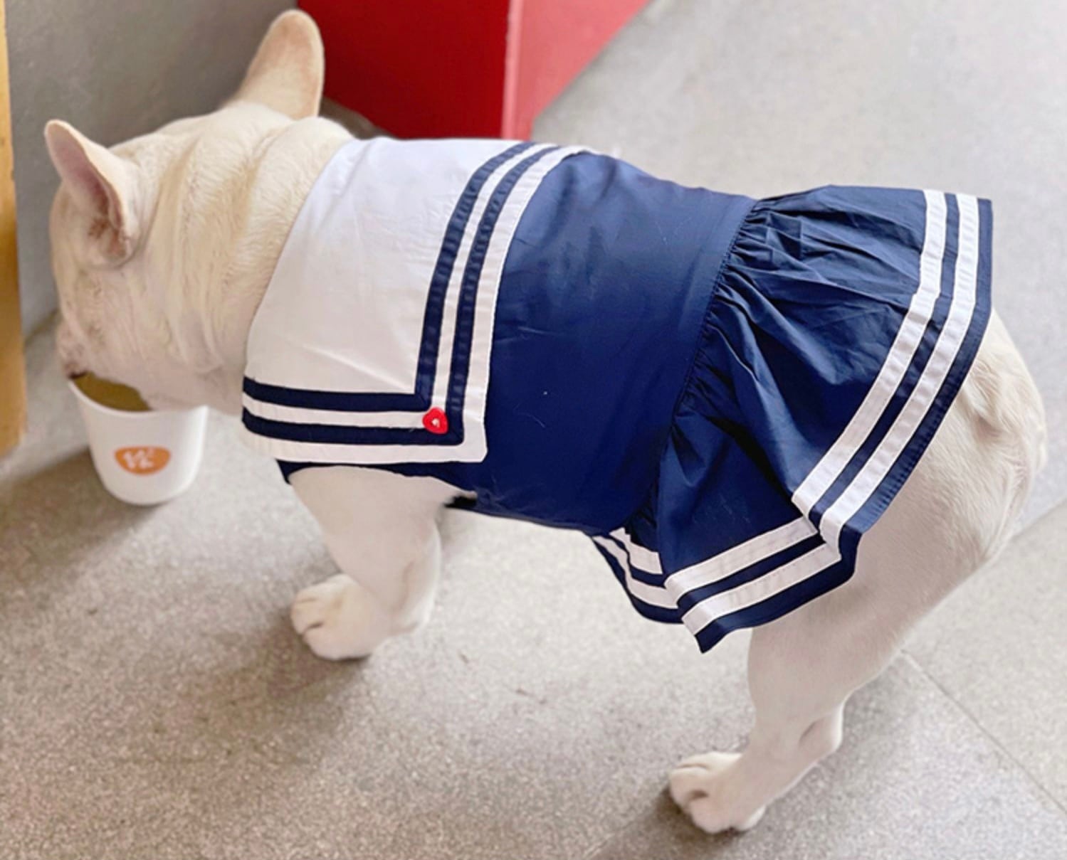 人気再入荷 犬服 フレンチブルドッグ セーラー服 ワンピース 可愛い 春