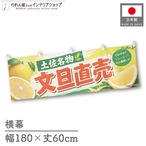 【受注生産】横幕 ポンジ 文旦直売 土佐名物 180×60cm 52411