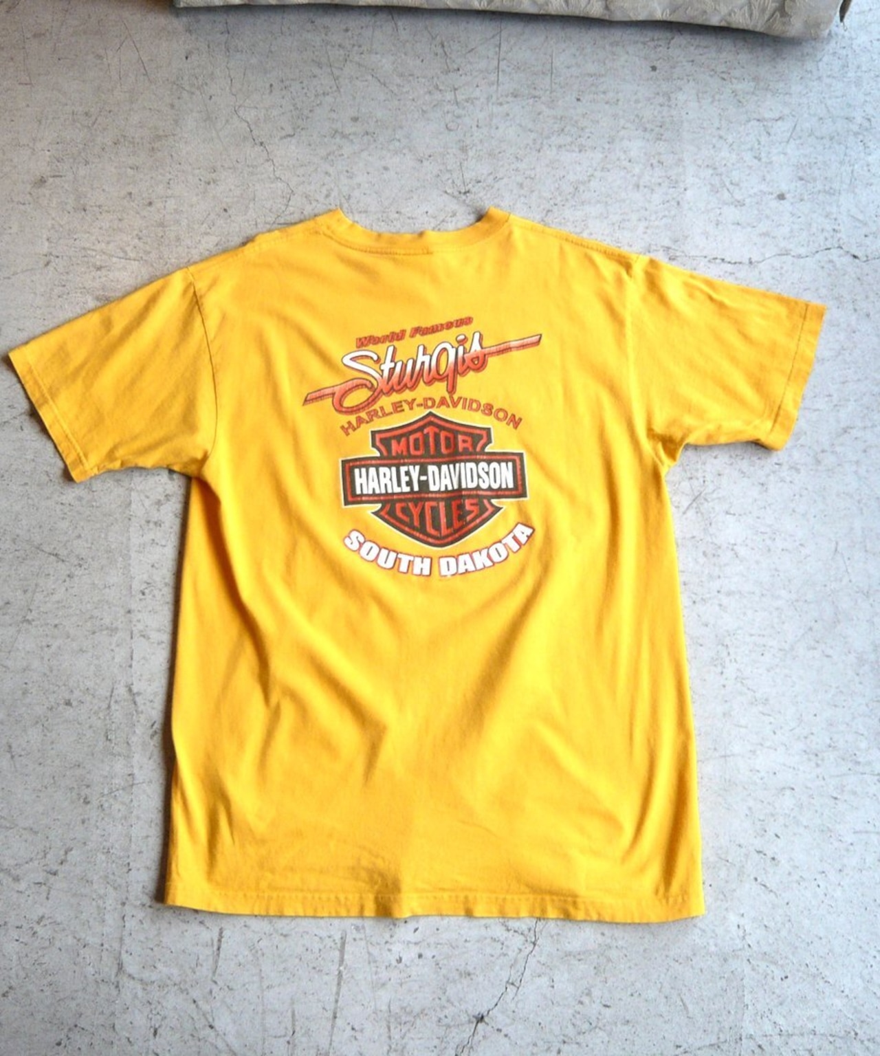 00s HARLEY-DAVIDSON ハーレーダビッドソン STURGIS Tシャツ