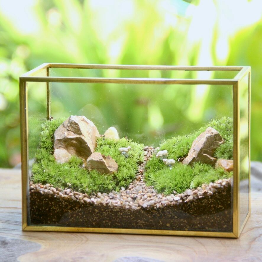 メタルフレームのテラリウム 羊3匹 苔テラリウム コケリウム 苔むすび