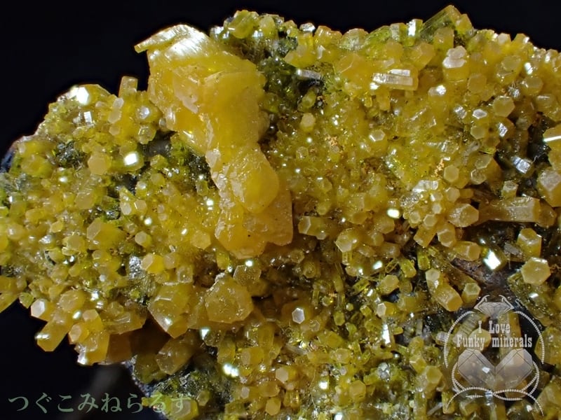 ミメタイト ミメット鉱 黄鉛鉱 タイ TM-013 | つぐこみねらるず ｜鉱物