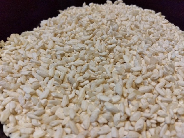 【2023年12月仕込み】乾燥米麹（500ｇ）農薬・化学肥料不使用、コシヒカリ使用、送料別