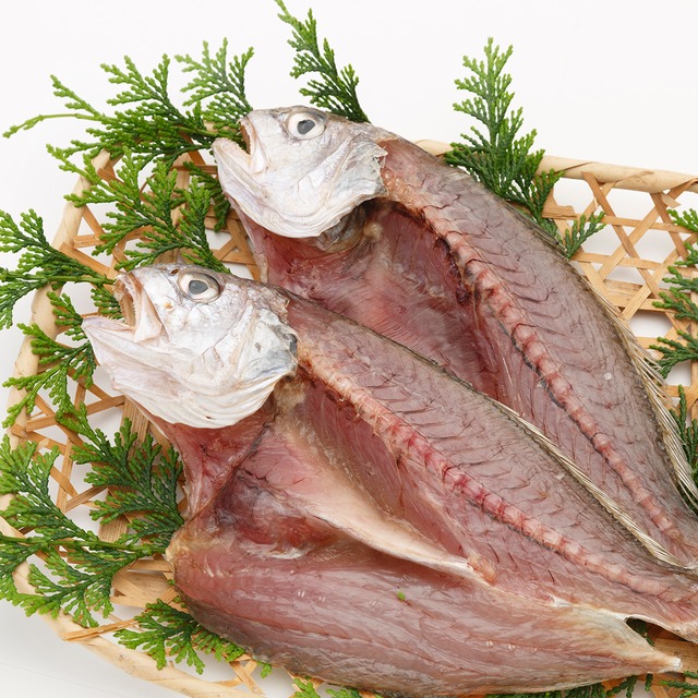 イシモチ 2尾 ほしのうた単品 Hamasui Store