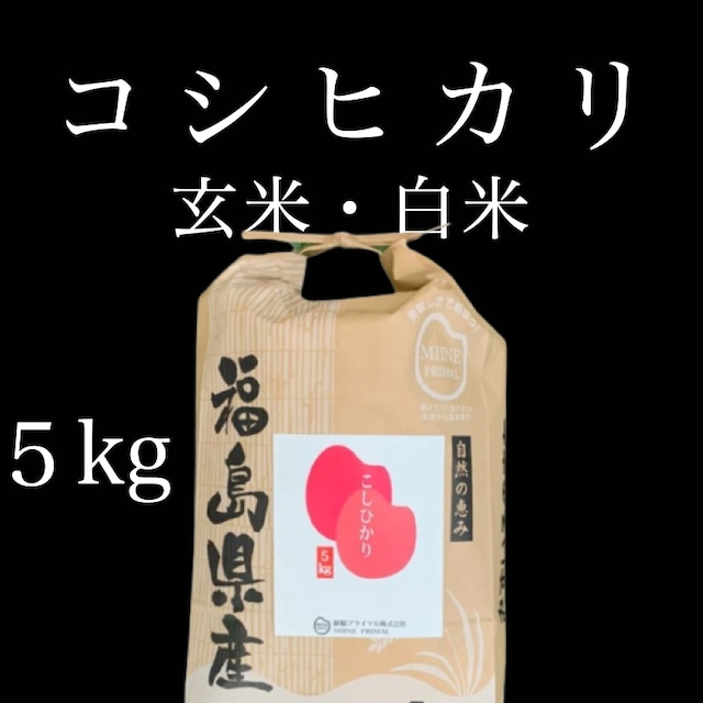 令和5年産 こしひかり・コシヒカリ｜5kg×1袋（紙袋）玄米・白米【福島産・米農家直販・2023年産】