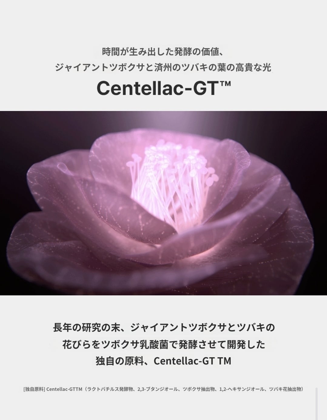 ICD ラディアンソーム100 マイクロフルイダイザー クリーム