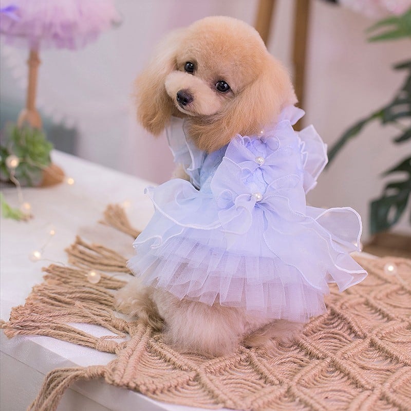 大型犬もOK ライトブルーのお嬢様ドレス | おむのおうち