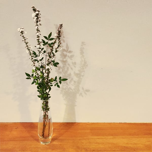 FLOWER SINGLE STEM VASE［LSA］ | REAL Style online shop