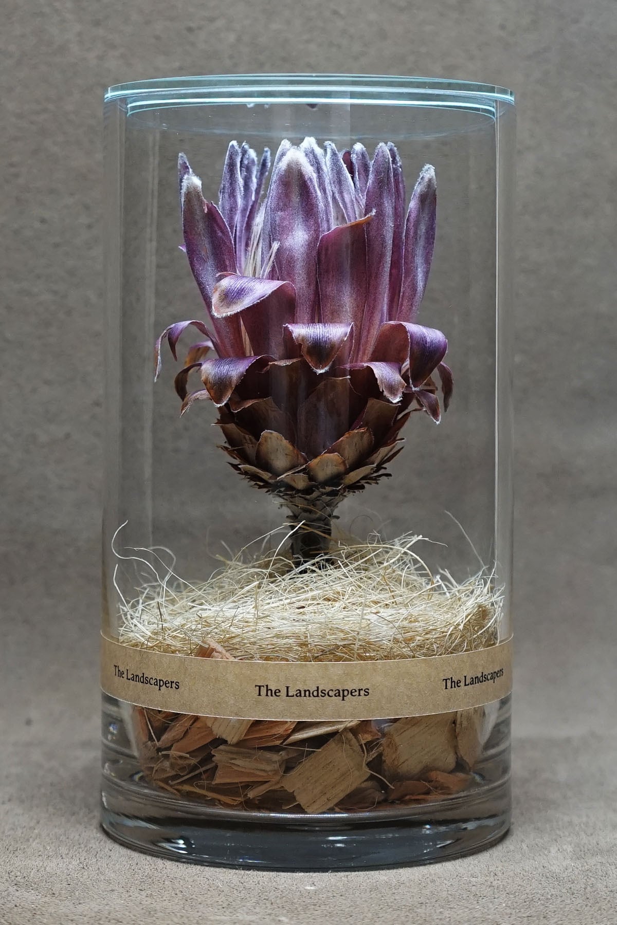 アクセサリー plants@painter Photo by AZUSA TANAKA (@azaza0727) · August 1, 2025