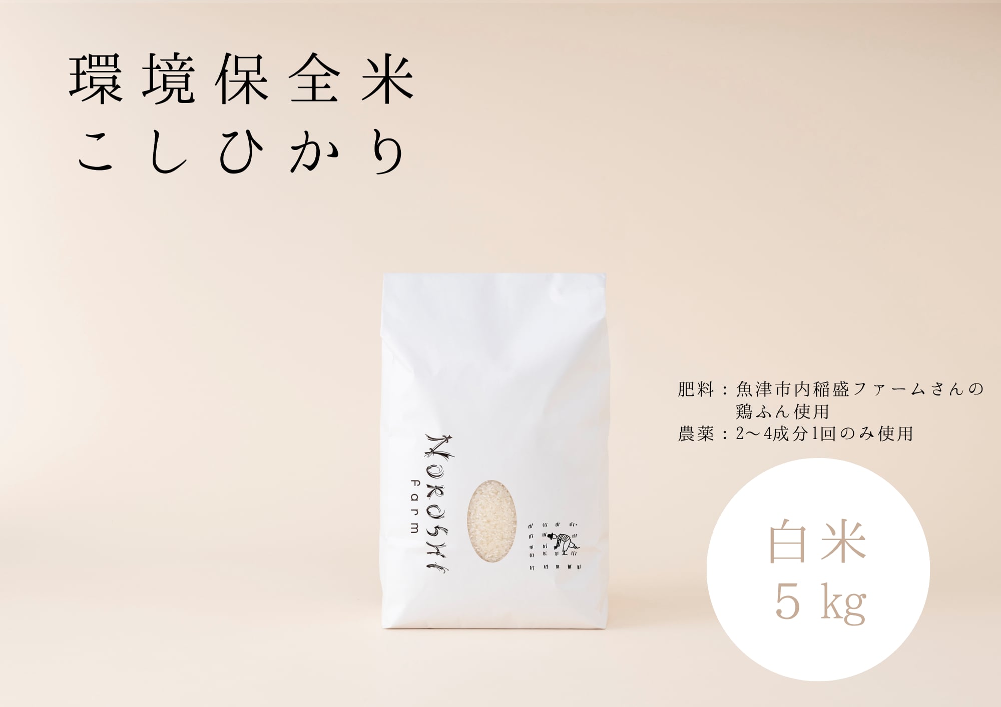 【R7年度産】つるぎの麓 コシヒカリ白米5㎏