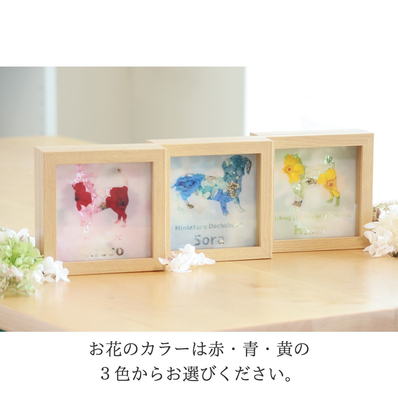 6d45d8558ed6fc5a32e5c57743cb96