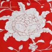 【美品 フラメンコ衣装】レッド シージョ マントン フレコ 赤 刺繍 白 ホワイト 花柄 ダンス用 トライアングル 光沢 軽い