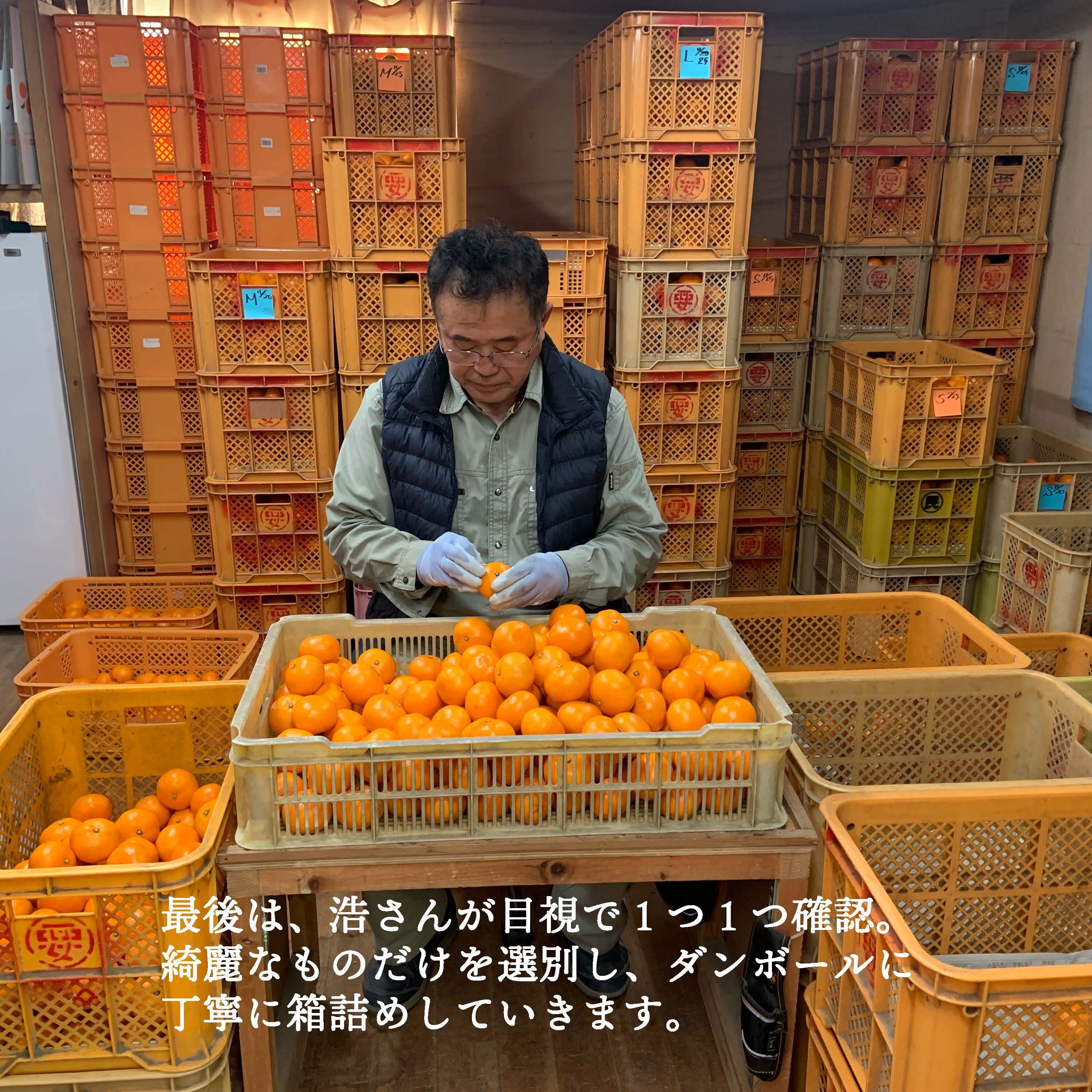 要みかんジャム 8本セット｜双海町産 南柑20号（送料込み） | ふたみ