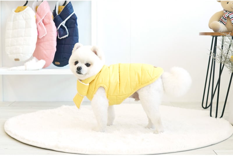 【SALE】軽量ダウンベスト 中型犬 大型犬 2XL 〜 5XL  4color  /  犬服 犬の服 犬 パーカー アウター シンプル 暖かい 防寒 ドッグウェア 