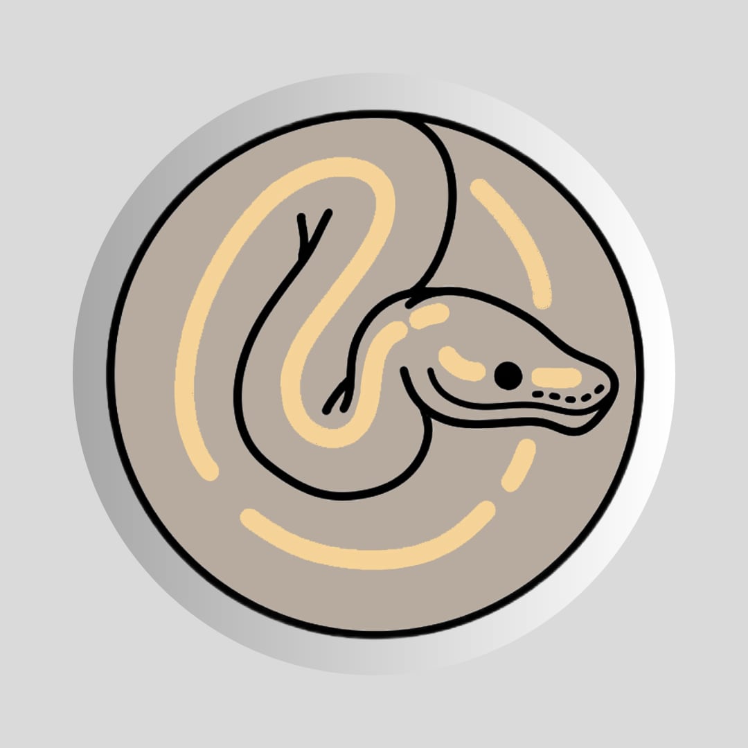 ボールパイソンクッキー缶【ハイウェイ】