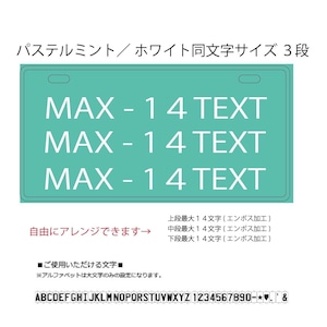 USプレート同文字サイズ３段　背景：パステルミント　文字色：ホワイト