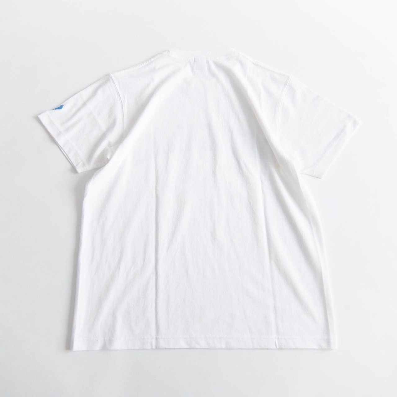 BIWAKO CITY / MOTHER LAKE CALLAGE LOGO TEE