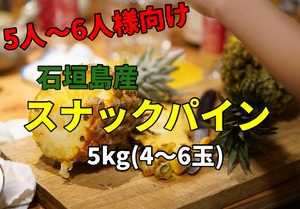 【送料無料】石垣島のスナックパイン5kgセット(4〜6玉)