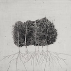 尾関立子 Ozeki Ritsuko"Forest"2012 etching with frame thumbnail 1