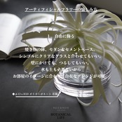 ティランジア・シルバーフロッキアΦ22㎝【アーティフィシャルフラワー】