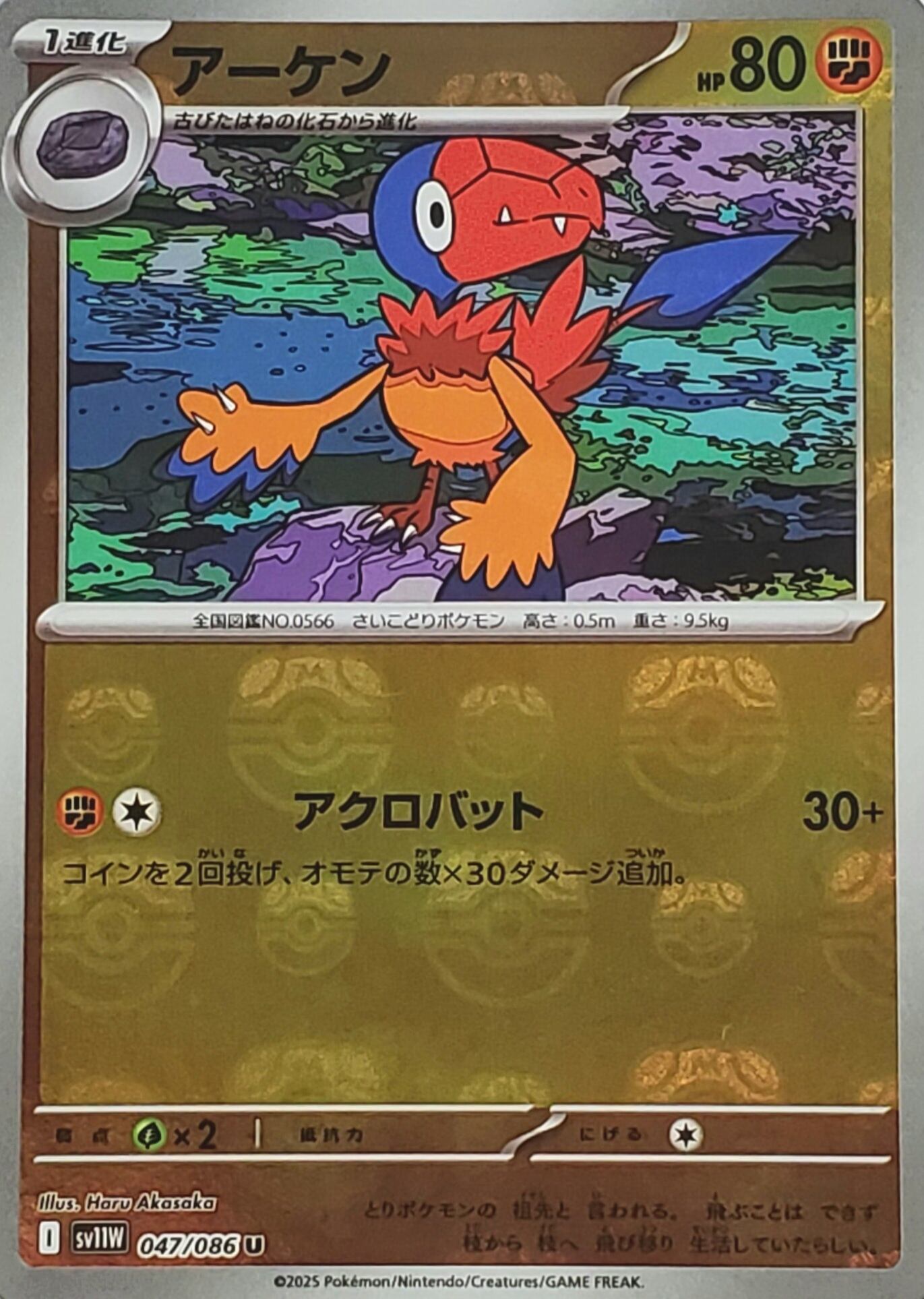 ポケモンカード 【ステラミラクル】 BOX シュリンク付き 送料無料 | PAY ID