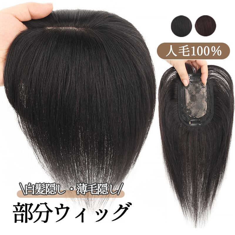 ウィッグ ロング ストレート 黒髪 ブラック シンプル ナチュラル