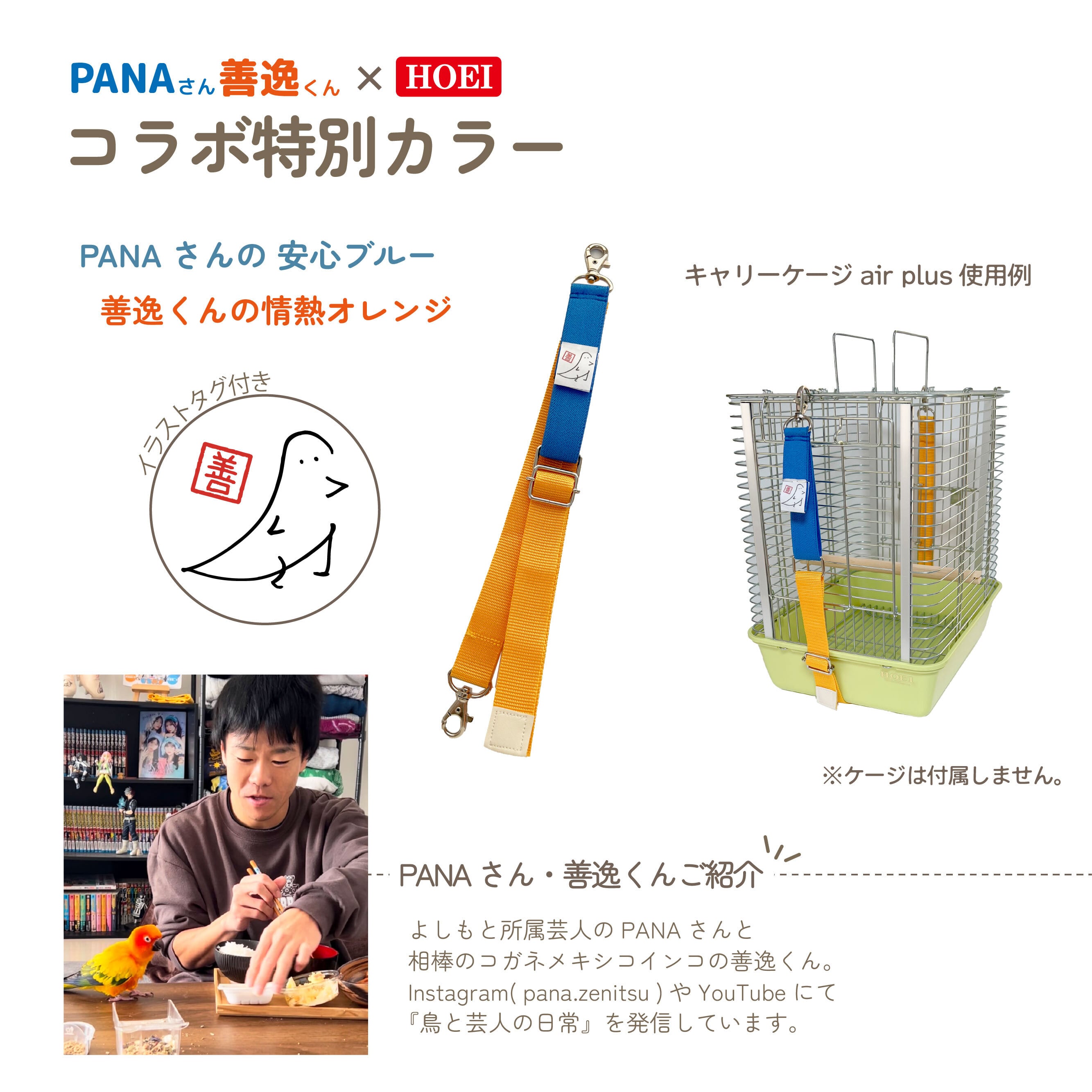 CageSafetyBand【S】 | 鳥かご・ペットケージのHOEI直販サイト