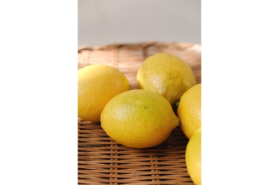 レモン(熊本県産)・1個