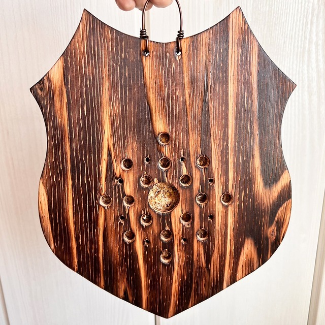 ビカクシダ リドレイ 板付 【観葉植物 室内 コウモリラン】