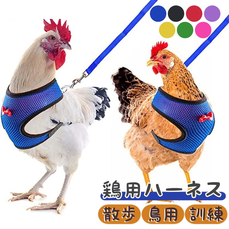 鶏用ハーネス リードセット 散歩 訓練 鶏 鴨 鵝 鳥用 ハーネス