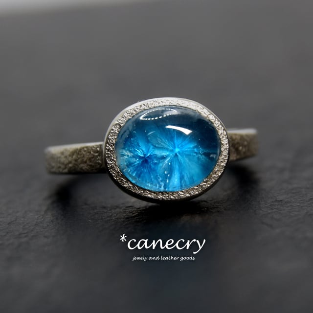 カバンサイトのリング(#294)