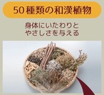 50の和漢CBDパッチテープR 50パッチ入り