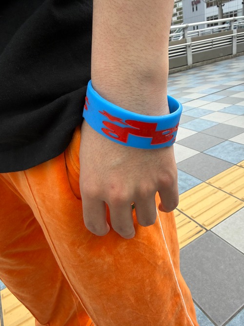 freespace logo lubber band