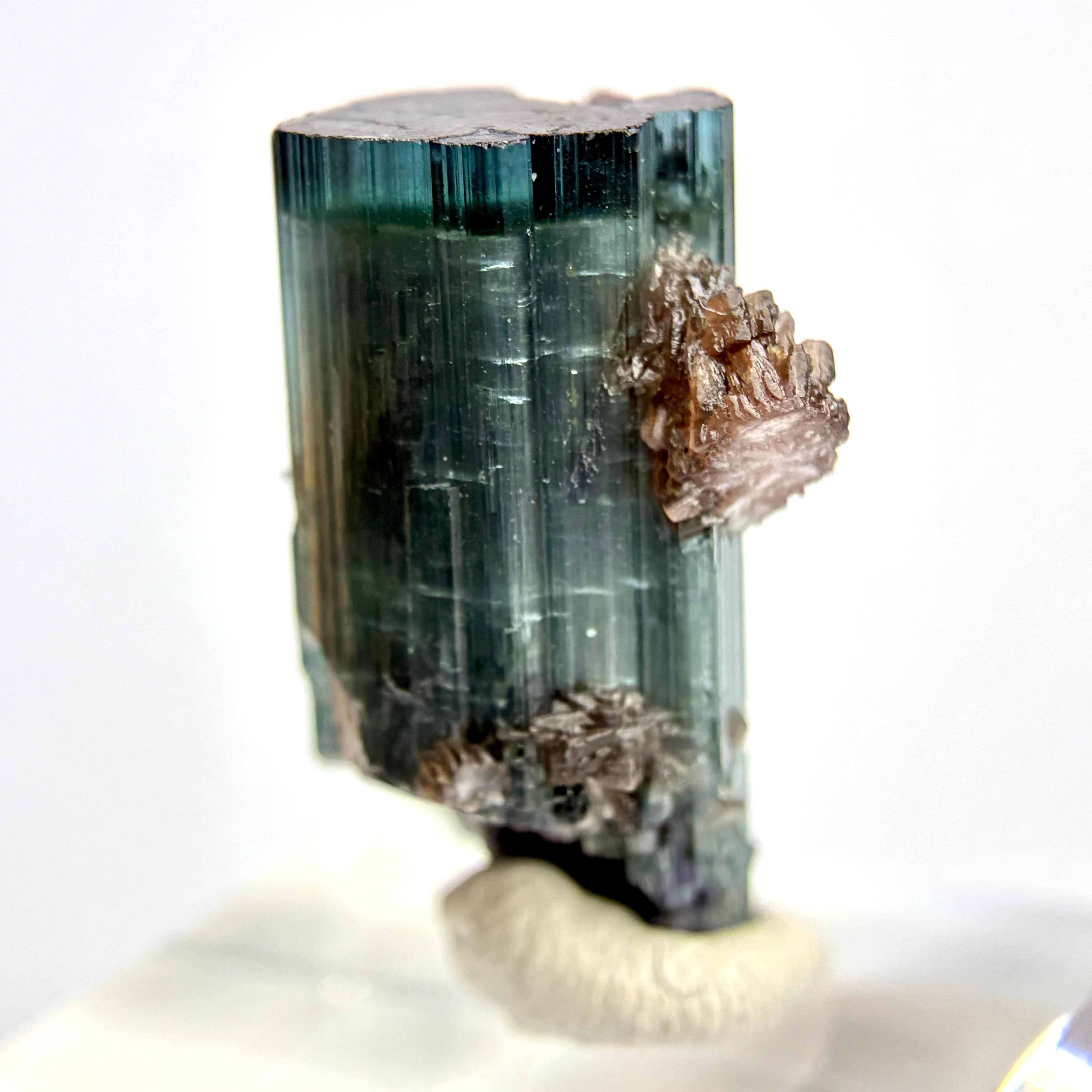 石 | World Minerals 世界中の鉱物原石の販売店