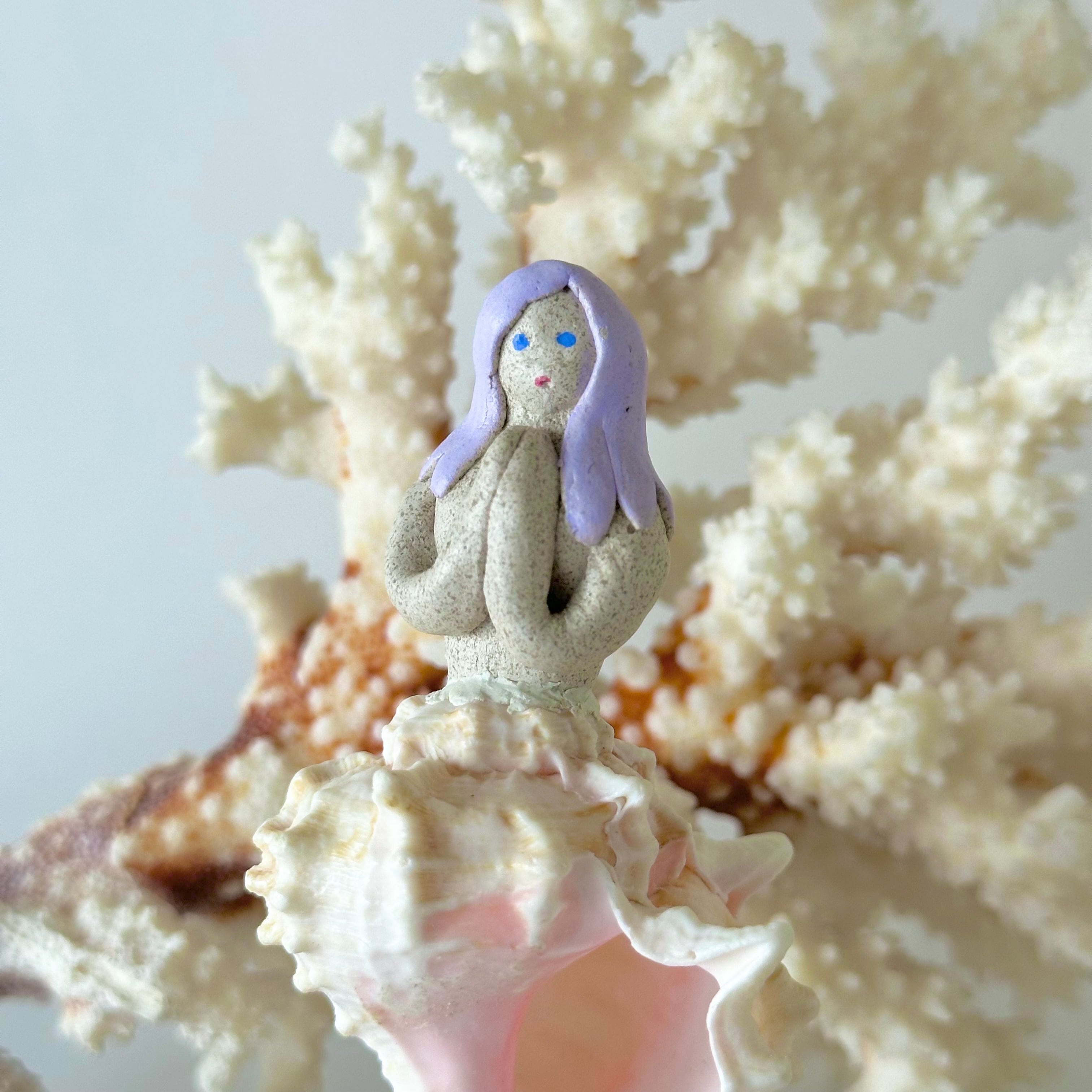 シェルドール(テングガイ) | 貝殻こけし舎