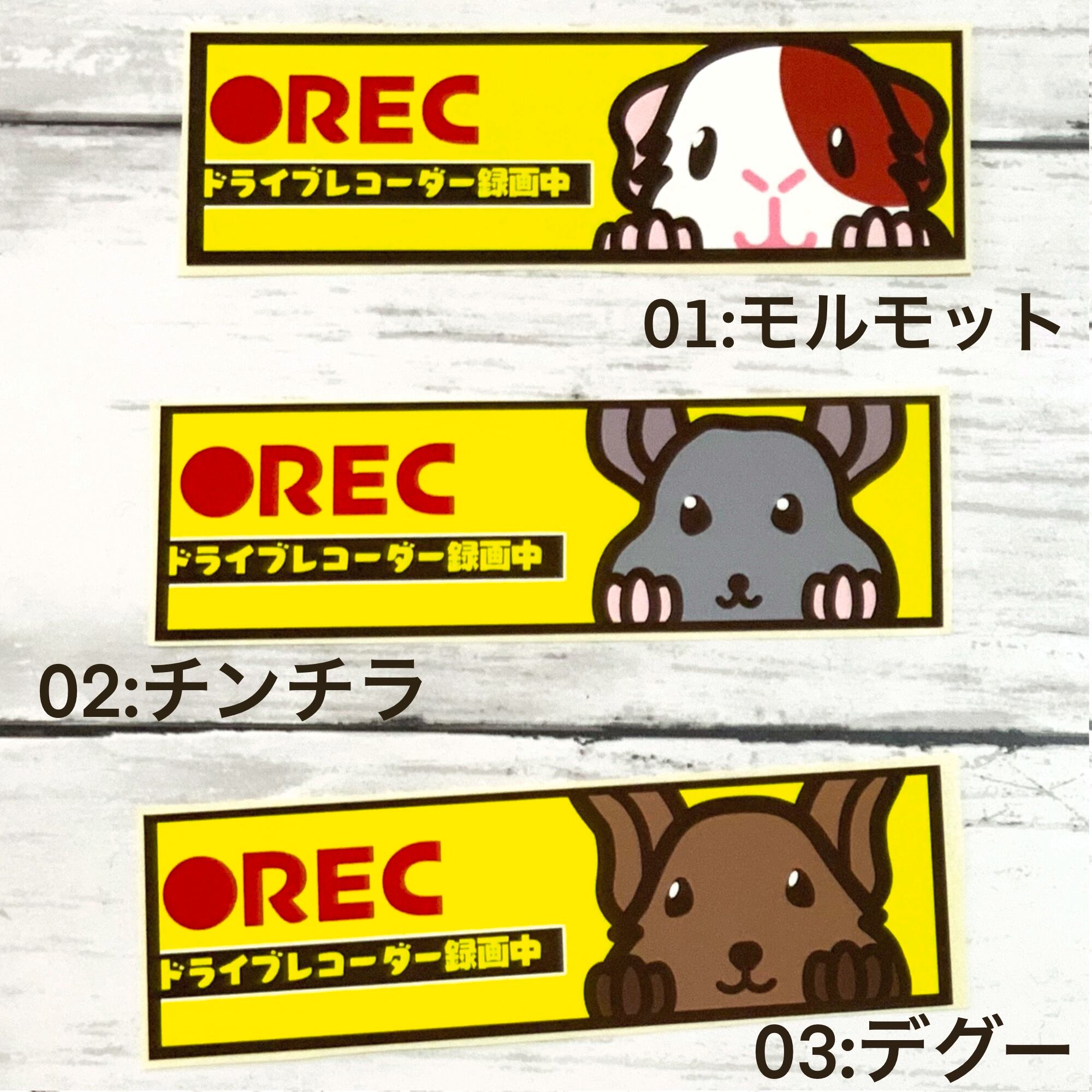 耐水性ステッカー大 ドライブレコーダー録音中 長方形タイプ Chocoholiday 耐水性ステッカー大 ドライブレコーダー録音中 長方形タイプ Chocoholiday