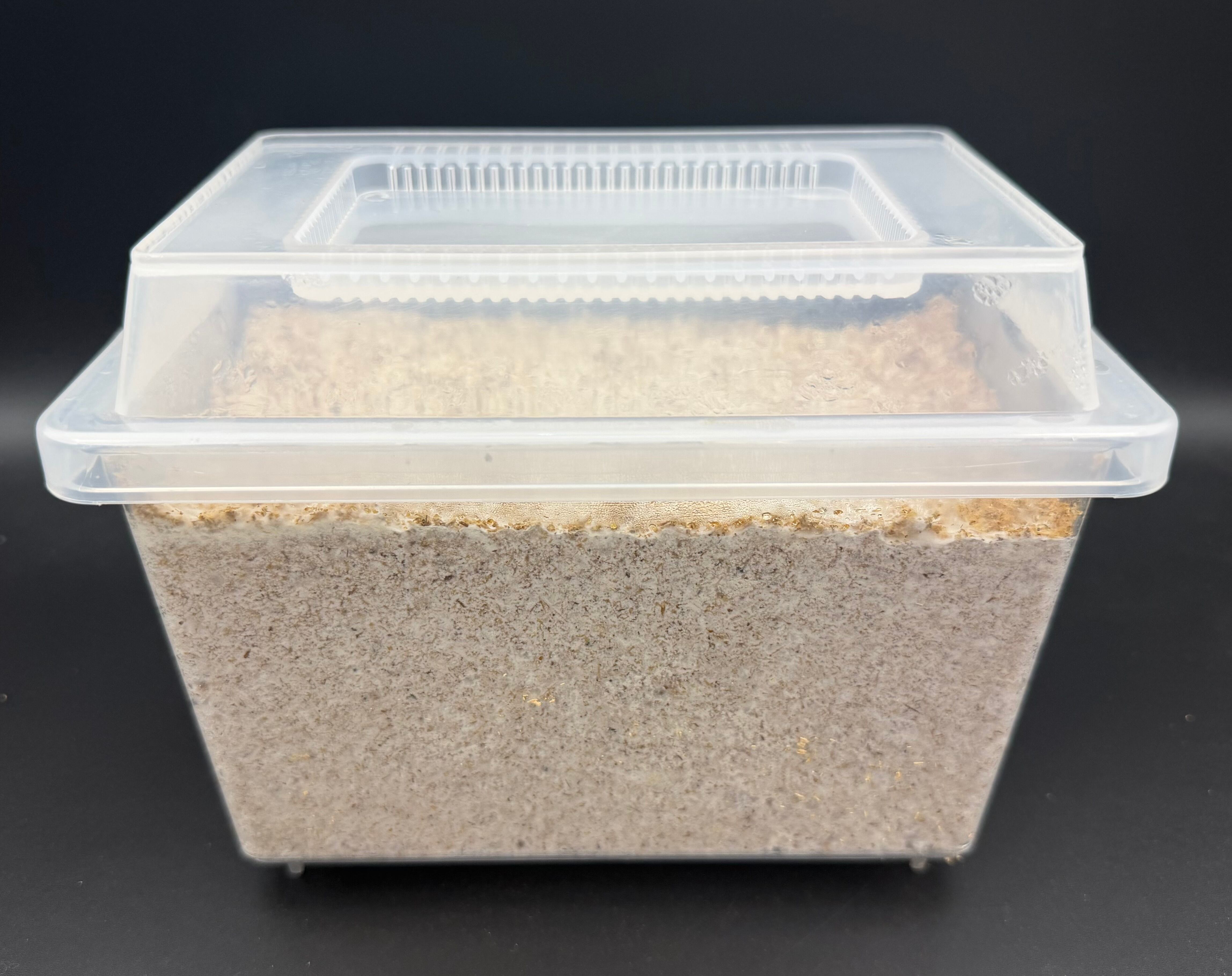 神長きのこ園のグリードSL 6個 神長きのこ園のグリードSL 6個 神長きのこ園 グリードSL ブロック