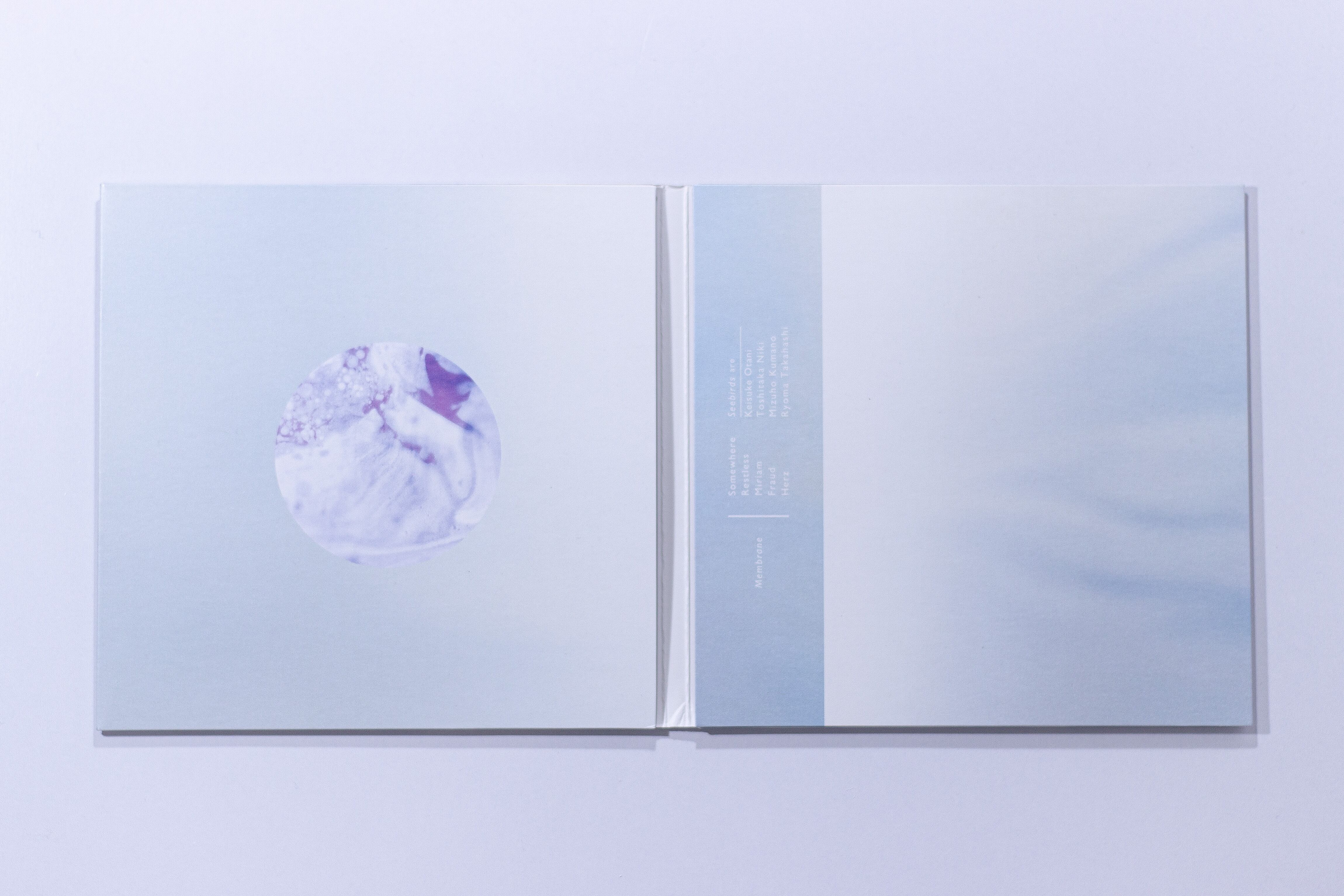 Seebirds 自主制作盤 mini album 『Membrane』 | Seebirds Official Shop Seebirds 自主制作盤 mini album 『Membrane』 | Seebirds Official Shop