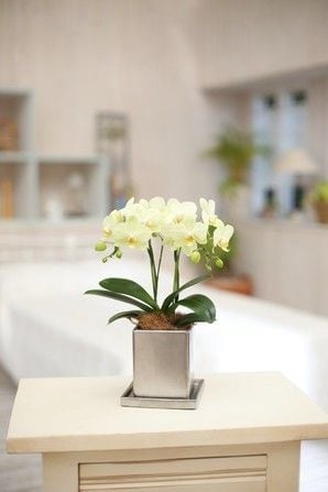 6d708b1cb1f30c75e8a56113c35f70