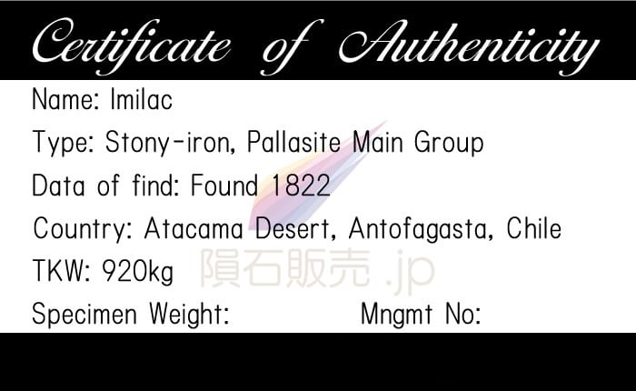 イミラック 隕石 2.0g パラサイト ネックレス ペンダント トップ