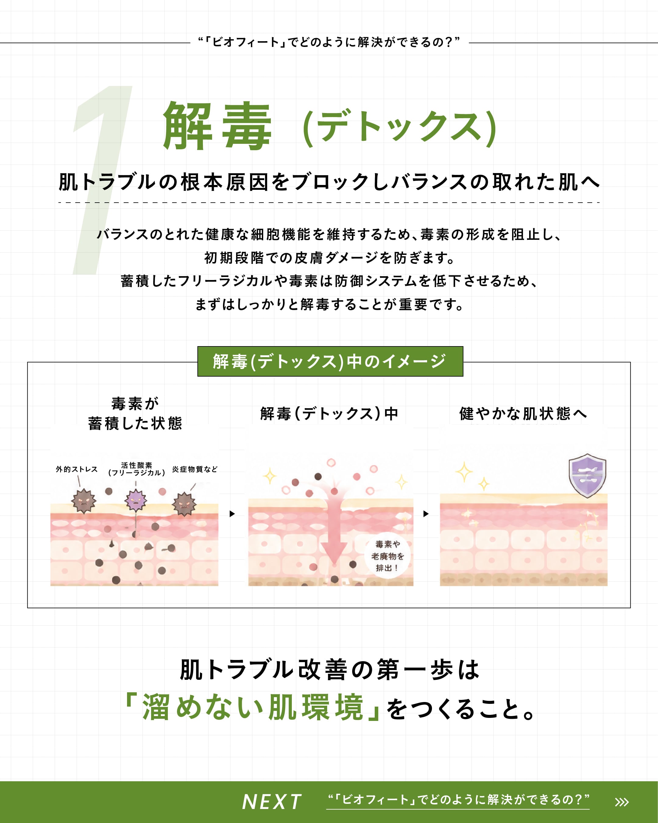BIOPHYTO ハーバルコンプレックス | SALON DÉ C｜CHRISTINA