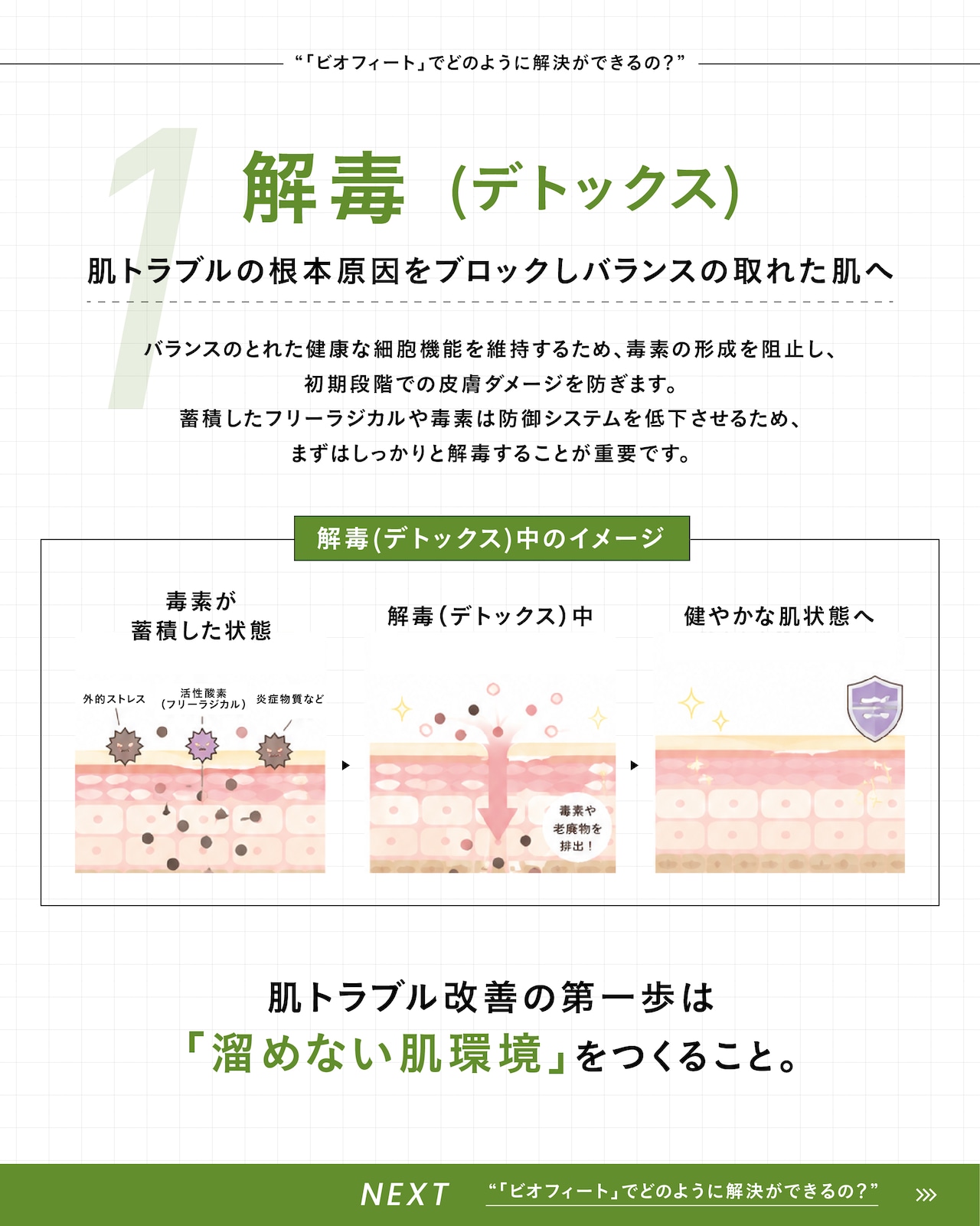 BIOPHYTO ハーバルコンプレックス