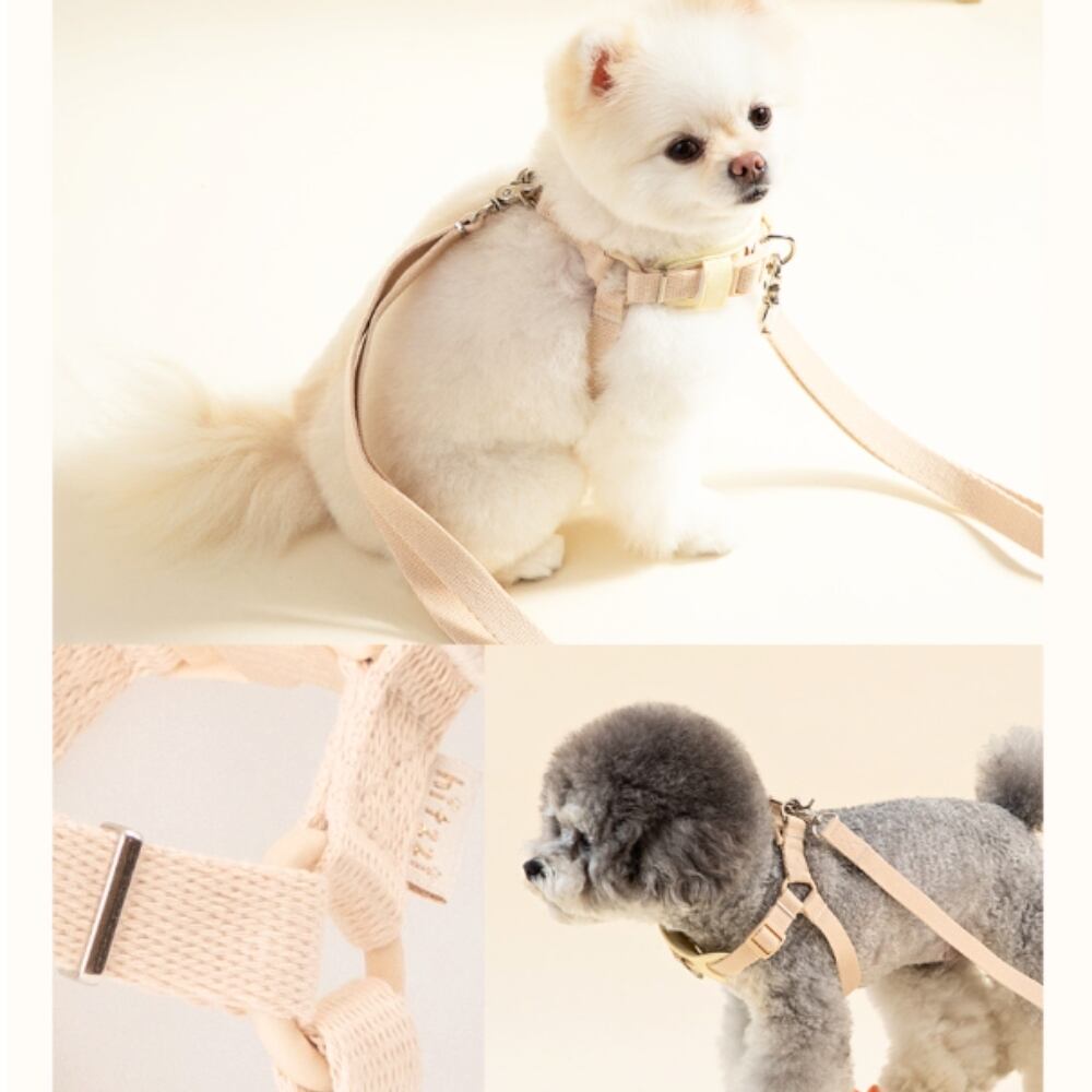 YType Harness Y型ハーネス | anpi