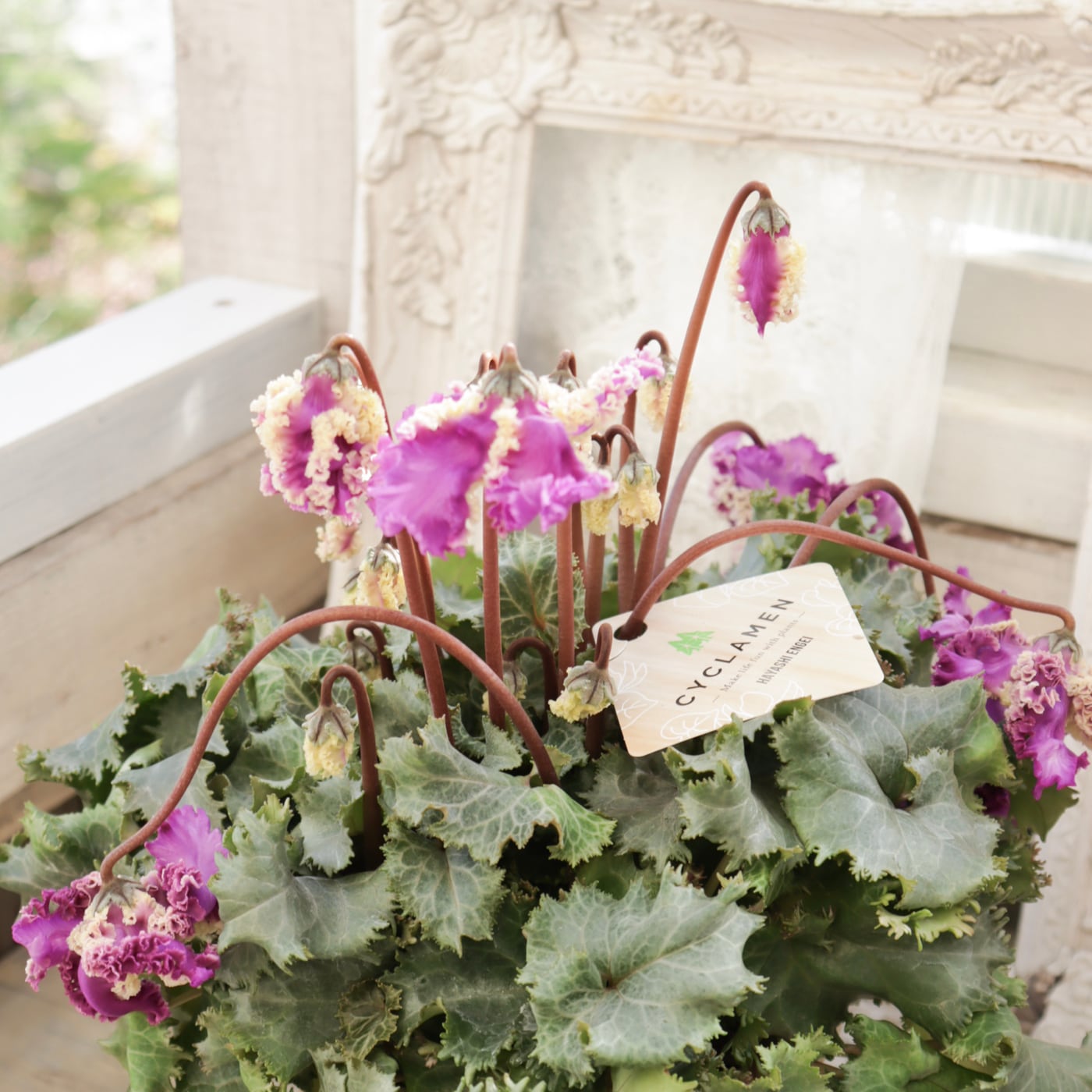 Green heartꕥオンラインショップ