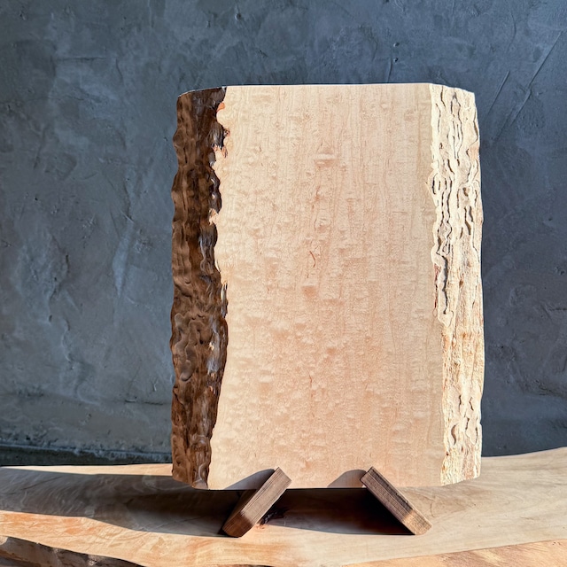 No.386：オリーブ