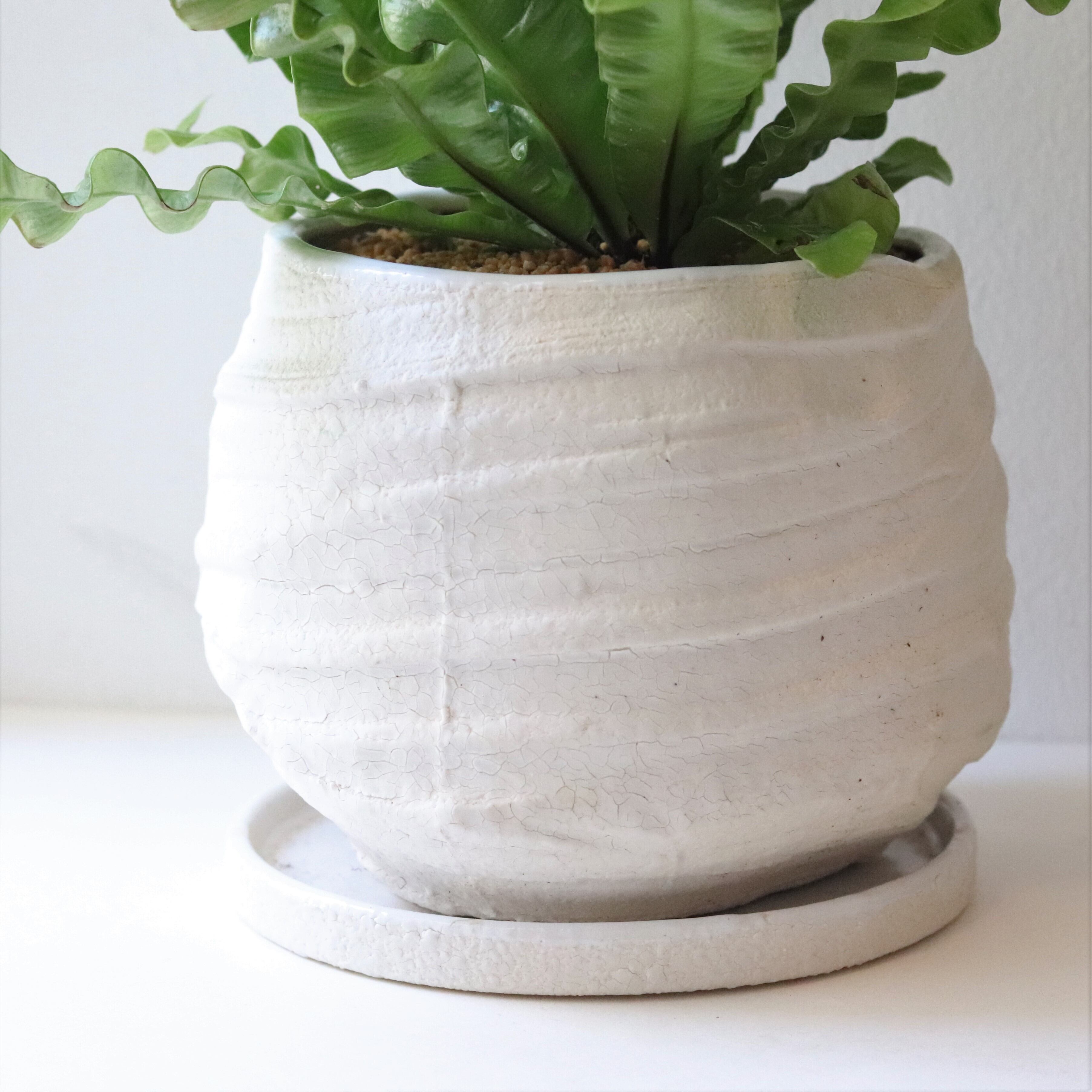 グリーン エメラルドウェーブ ジーフラットインテリアショップ Online Shop