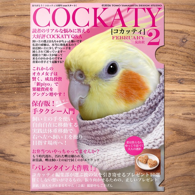 A4クリアファイル　コカッティ2月号 「バレンタイン大作戦！」