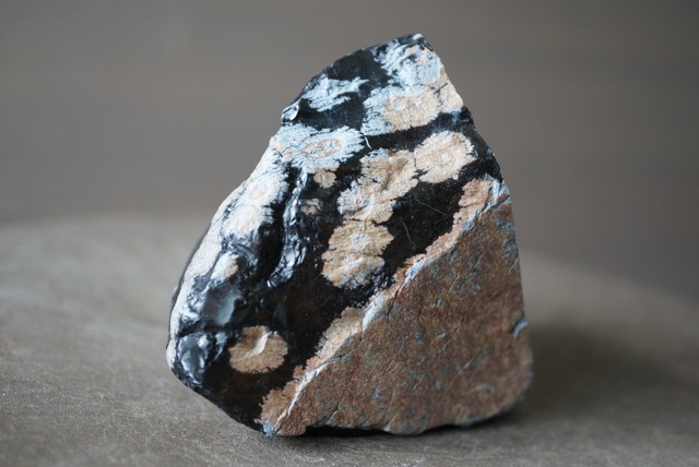 スノーフレーク・オブシディアン Snowflake Obsidian   1274